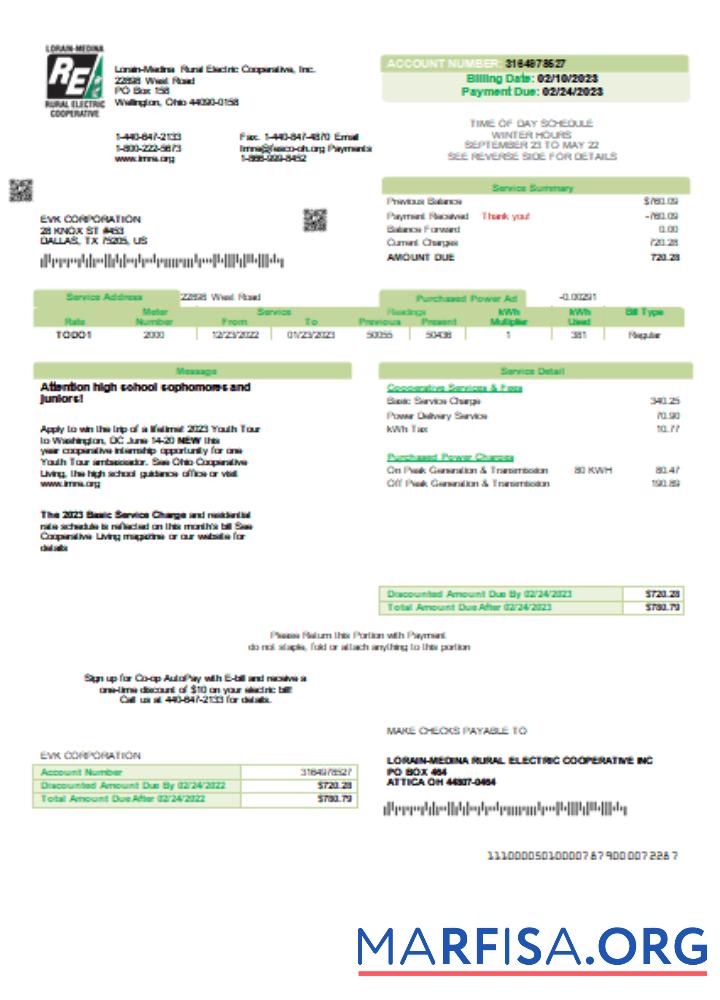 Printable Lorain Medina Rural Electric utility business bill, SCR template